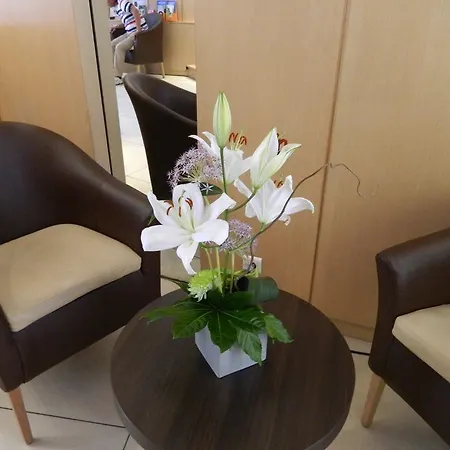 Ours Blanc - Place Victor Hugo